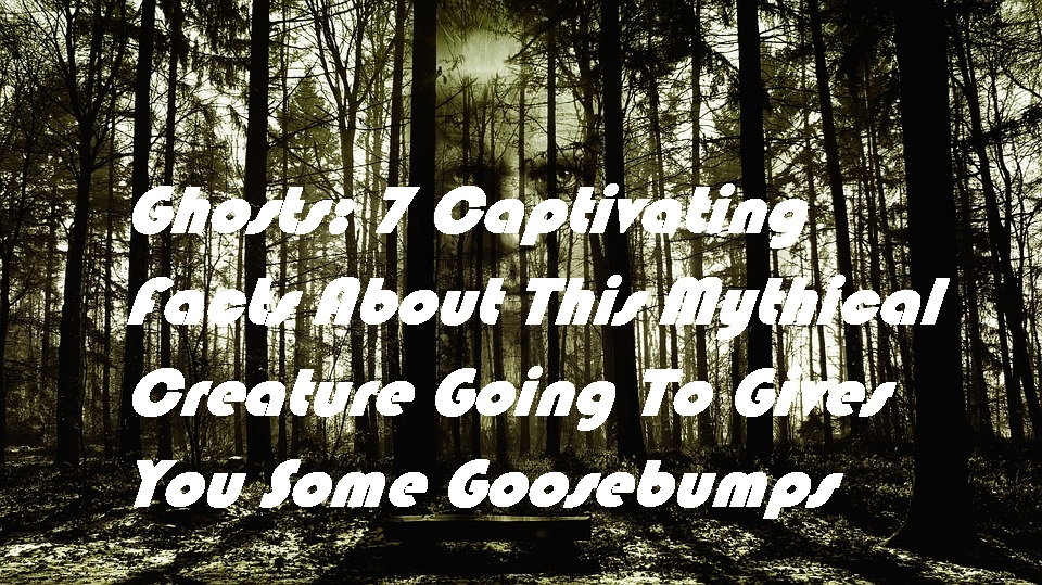 Ghosts: 7 Captivating Facts About This Mythical Creature Going To Gives You Some Goosebumps