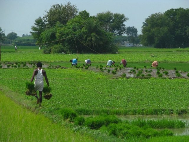 Bright with Organic Might- Indian Agrarian Sector Expanding Post New Farm Laws