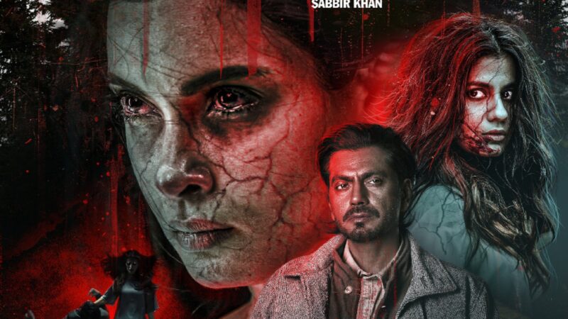 Adbhut: 2024 Bollywood Hindi Supernatural Horror Film Review | Adbhut Plot Analysis