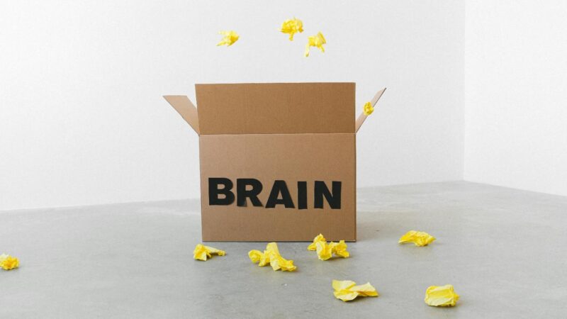 Human Brain: Combo of Many Aspects