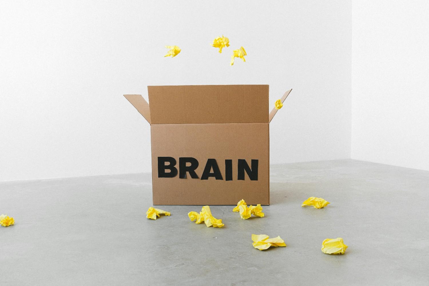 Human Brain: Combo of Many Aspects